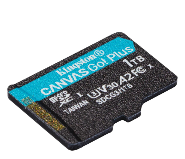Kingston 1TB Canvas Go! Plus 170MB/90MB (odczyt/zapis) - 1238972 - zdjęcie 2